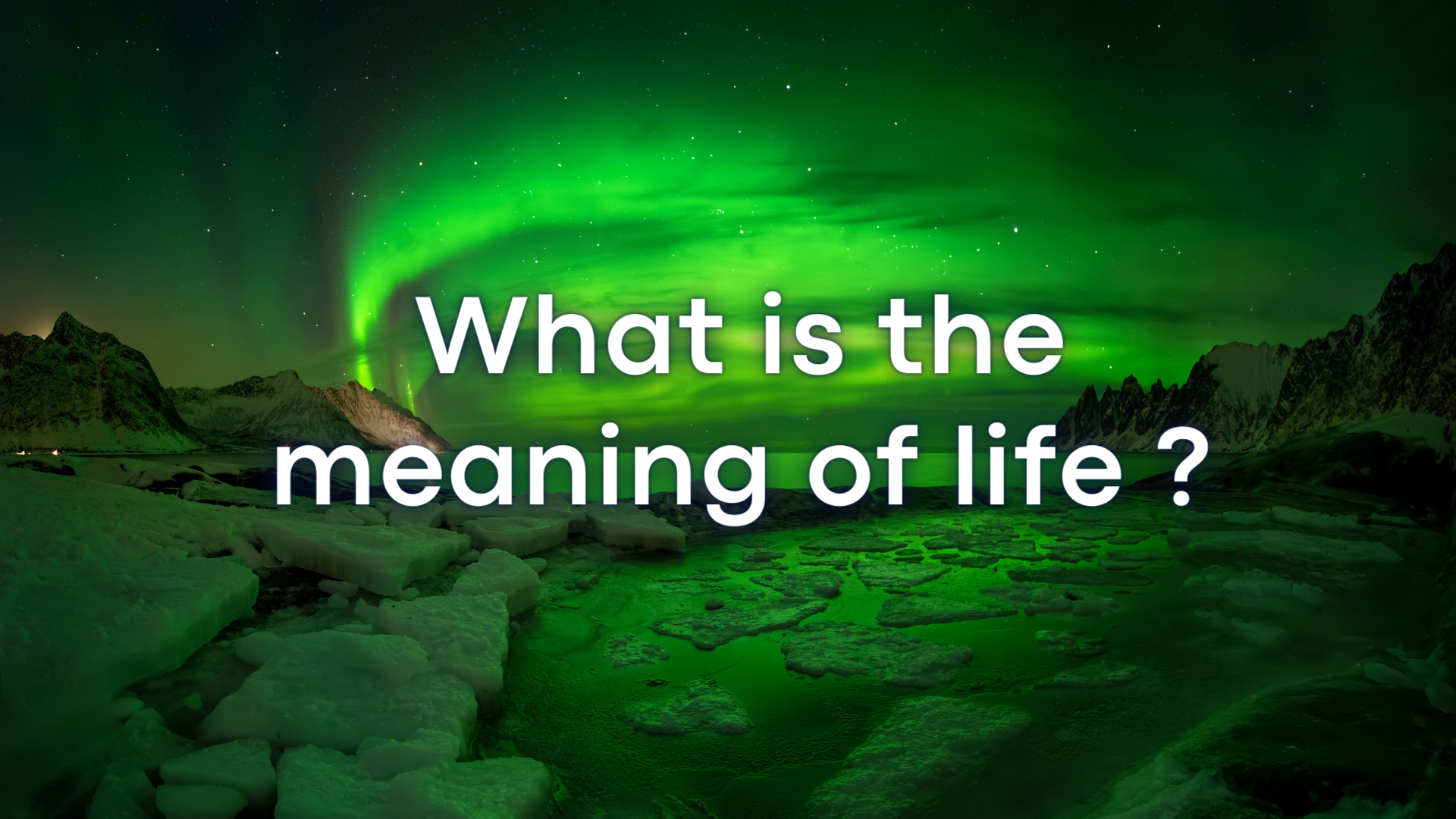 What is the meaning of life ?